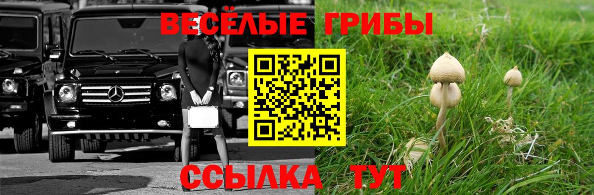наркошоп  Вход с VPN  Кондопога  Галлюциногенные грибы мухоморы 