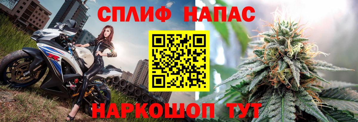 Кондопога  Шишки марихуана семена  Конопля конопля  Шишки марихуана марихуана  Вход с VPN  Шишки марихуана Bruce Banner 